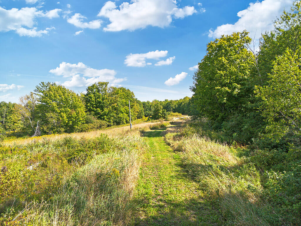 68 Old Farm Road Plymouth, ME 04969 - Photo 3 of 21 driveway to cleared area