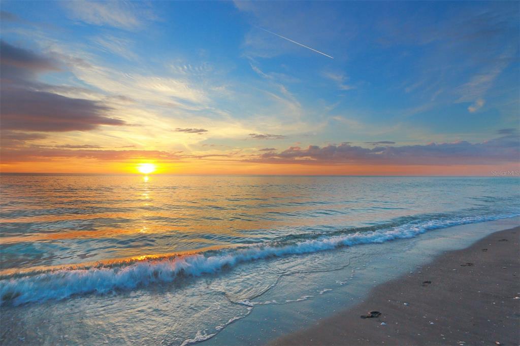 1229 Palm View Road Sarasota, FL 34240 - Photo 47 of 48 Gallery Image 47