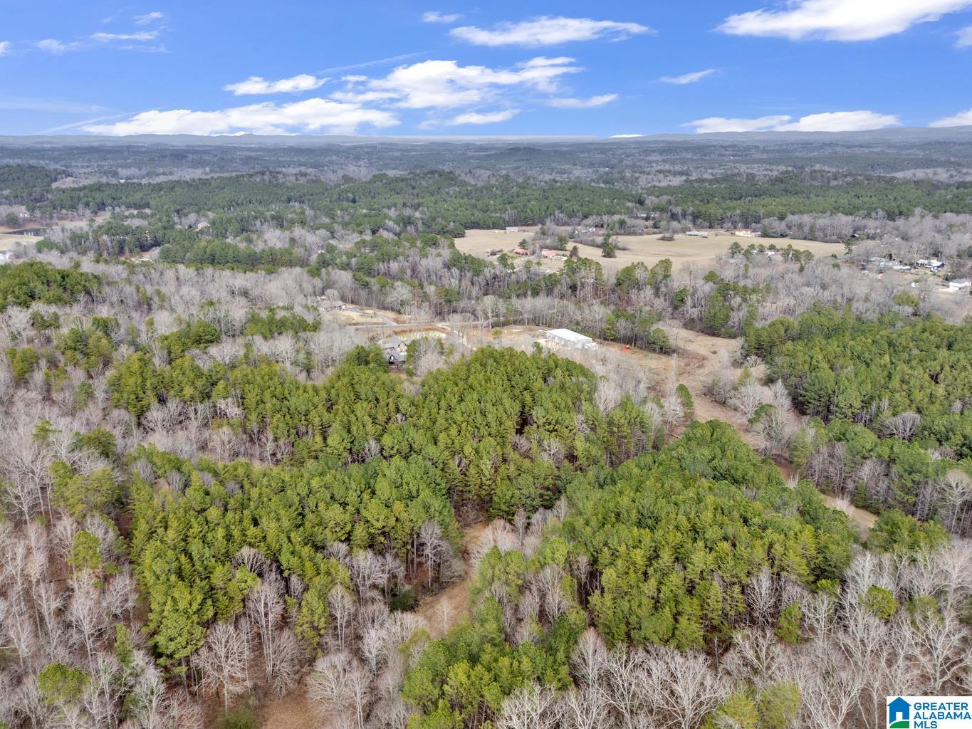 1705 Hagood Mountain Road Morris, AL 35116 - Photo 67 of 84 Gallery Image 67