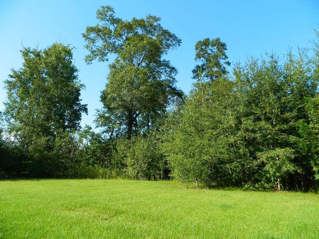 85072 Kings Road Bogalusa, LA 70427 - Photo 21 of 25 Gallery Image 21