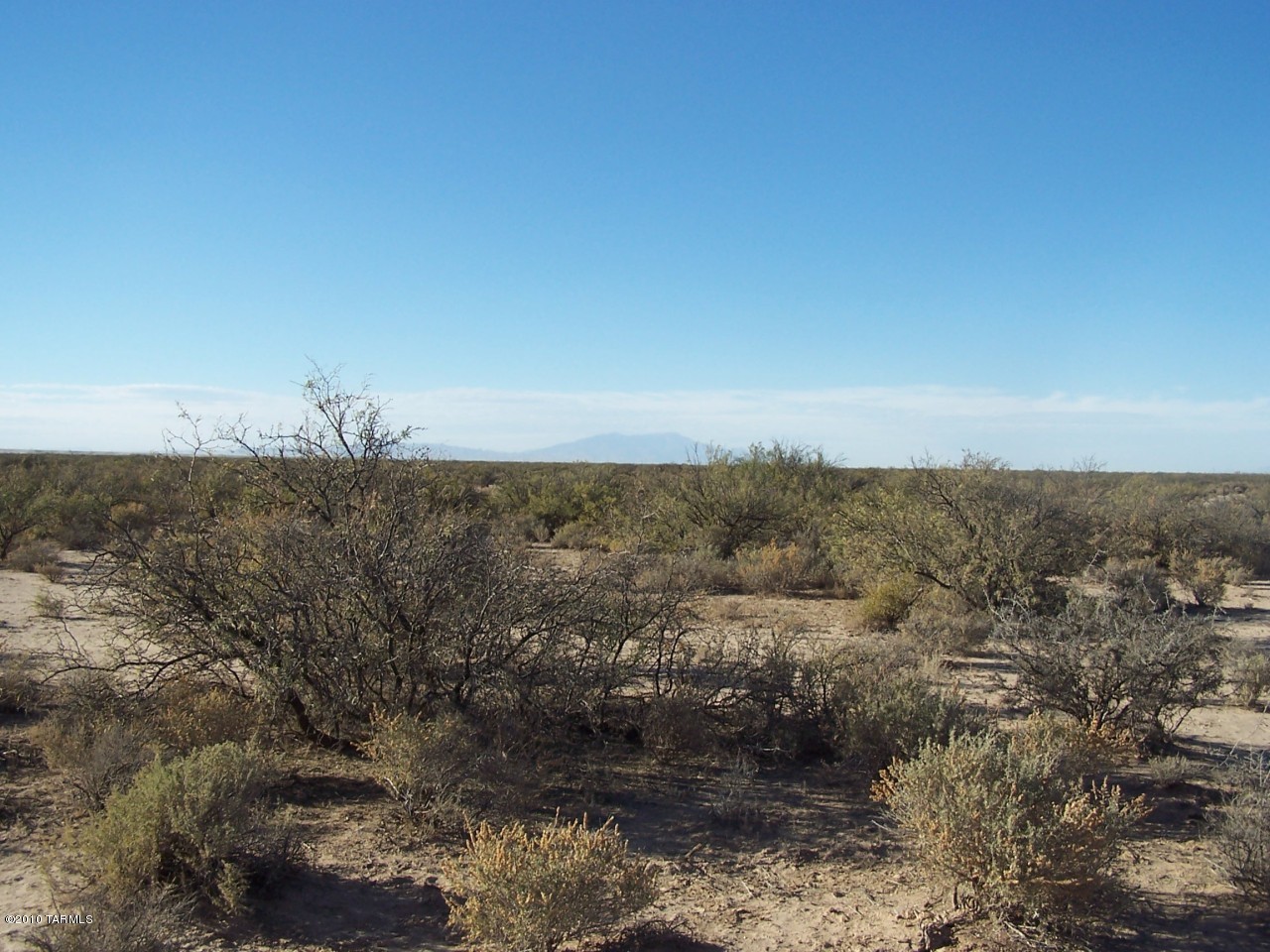 179.55-ac West 179.55-ac W Rivers Road Bowie, AZ 85605 - Photo 5 of 10