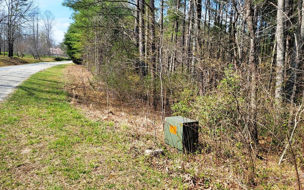 Tbd Sugar Maple Road Murphy, NC 28906 - Photo 6 of 13 Additional View