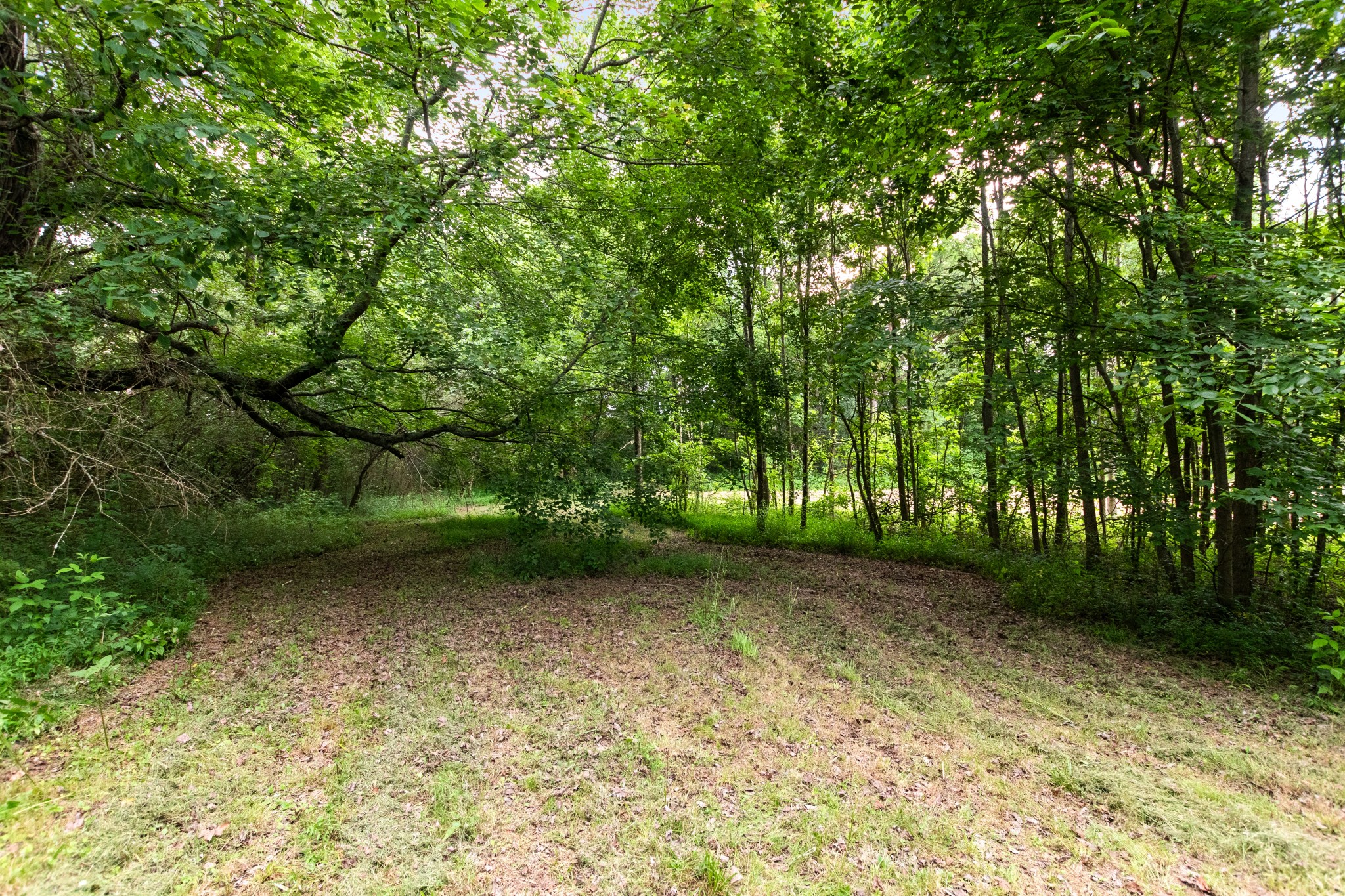 4100 Asbury Road Manchester, TN 37355 - Photo 41 of 57