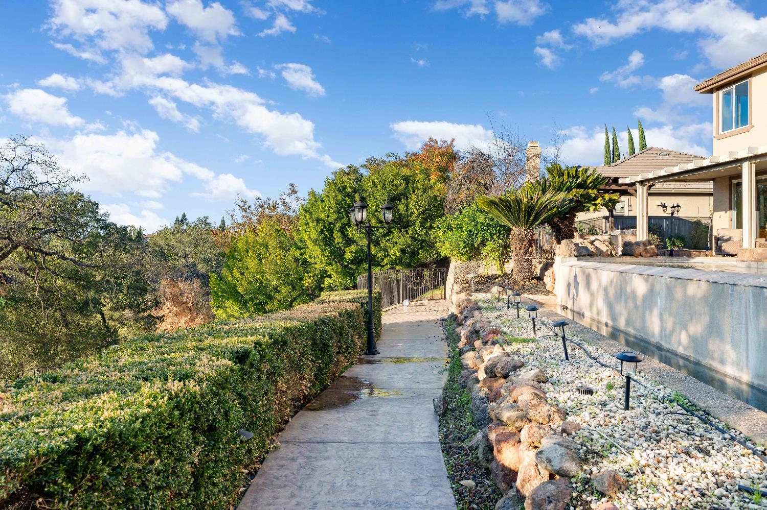 1580 Vista Ridge Way Roseville, CA 95661 - Photo 47 of 58 a view of a yard with plants