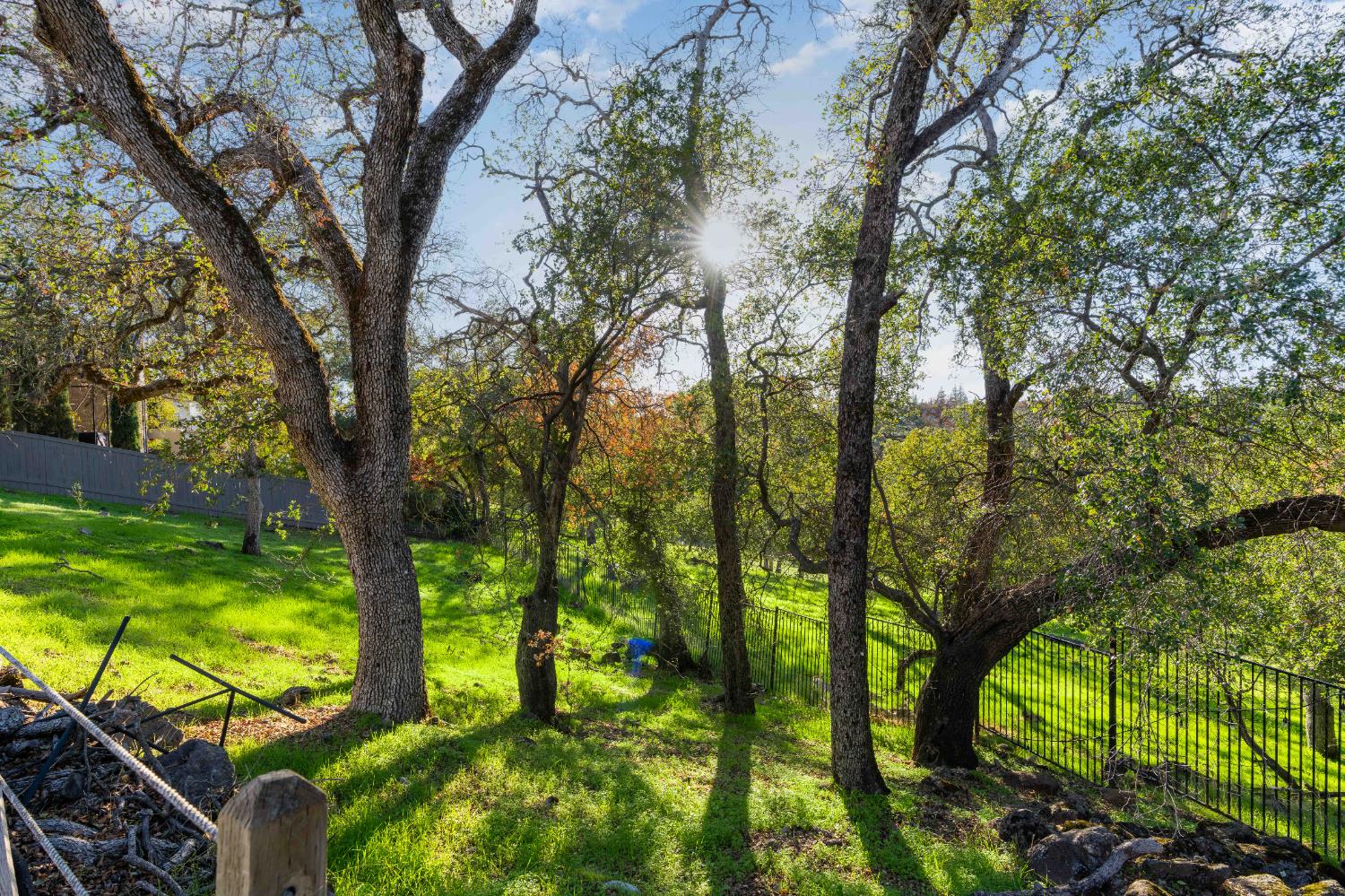 1580 Vista Ridge Way Roseville, CA 95661 - Photo 52 of 58 a view of a yard
