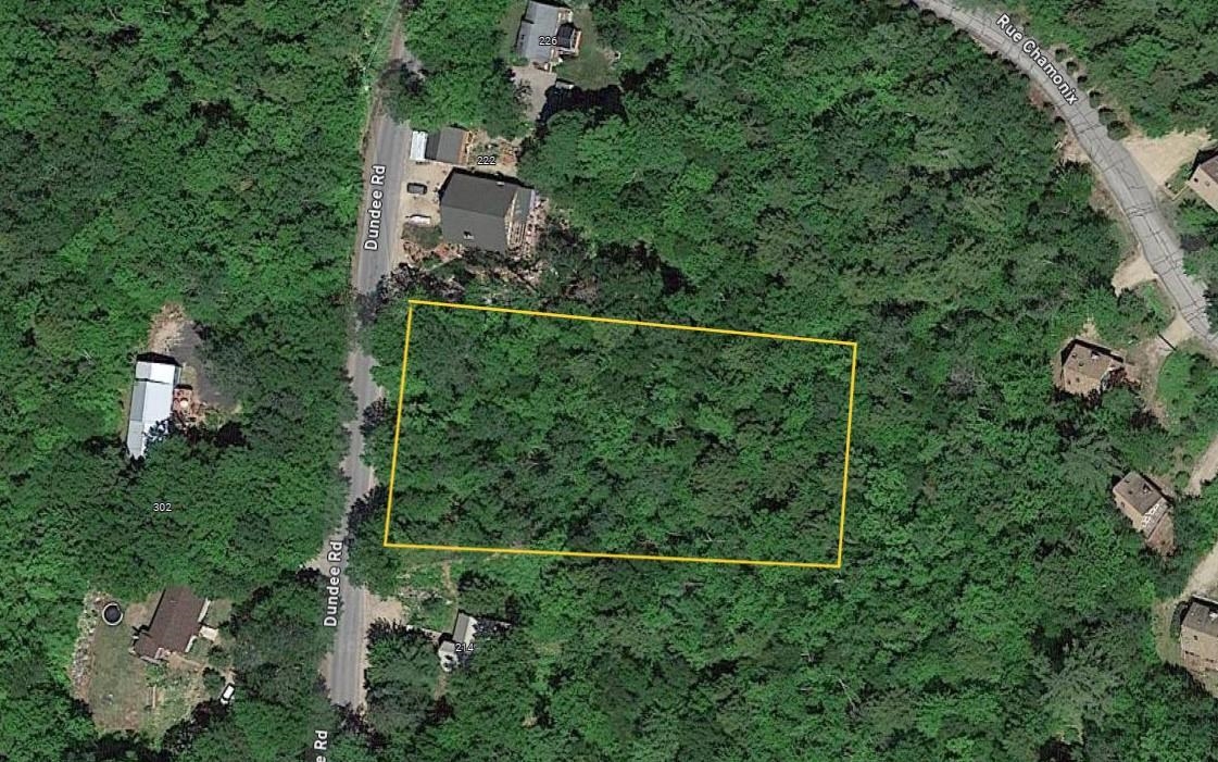 0 Dundee Road, Unit 102 Intervale, NH 03845 - Photo 2 of 7