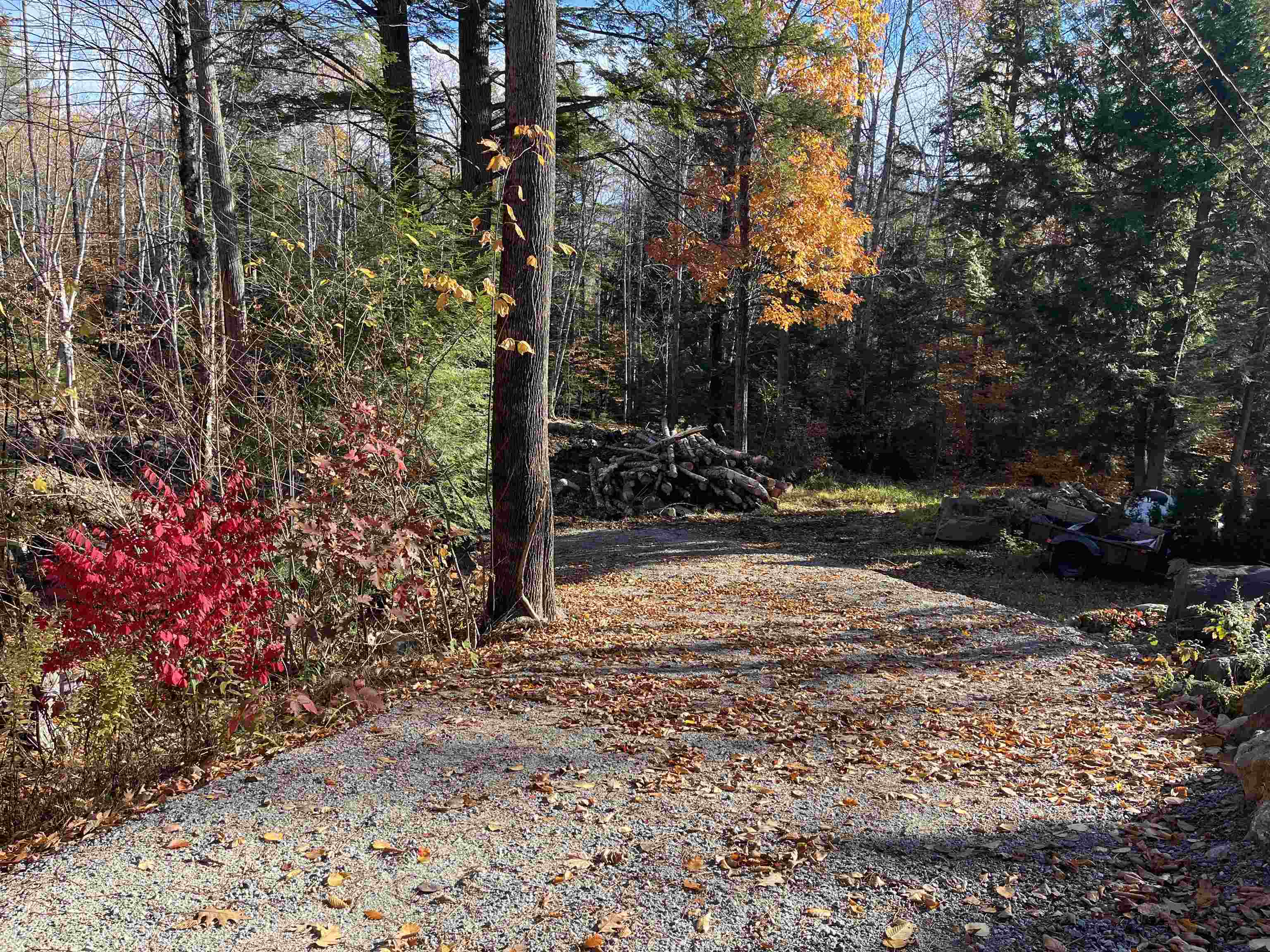 0 Dundee Road, Unit 102 Intervale, NH 03845 - Photo 3 of 7