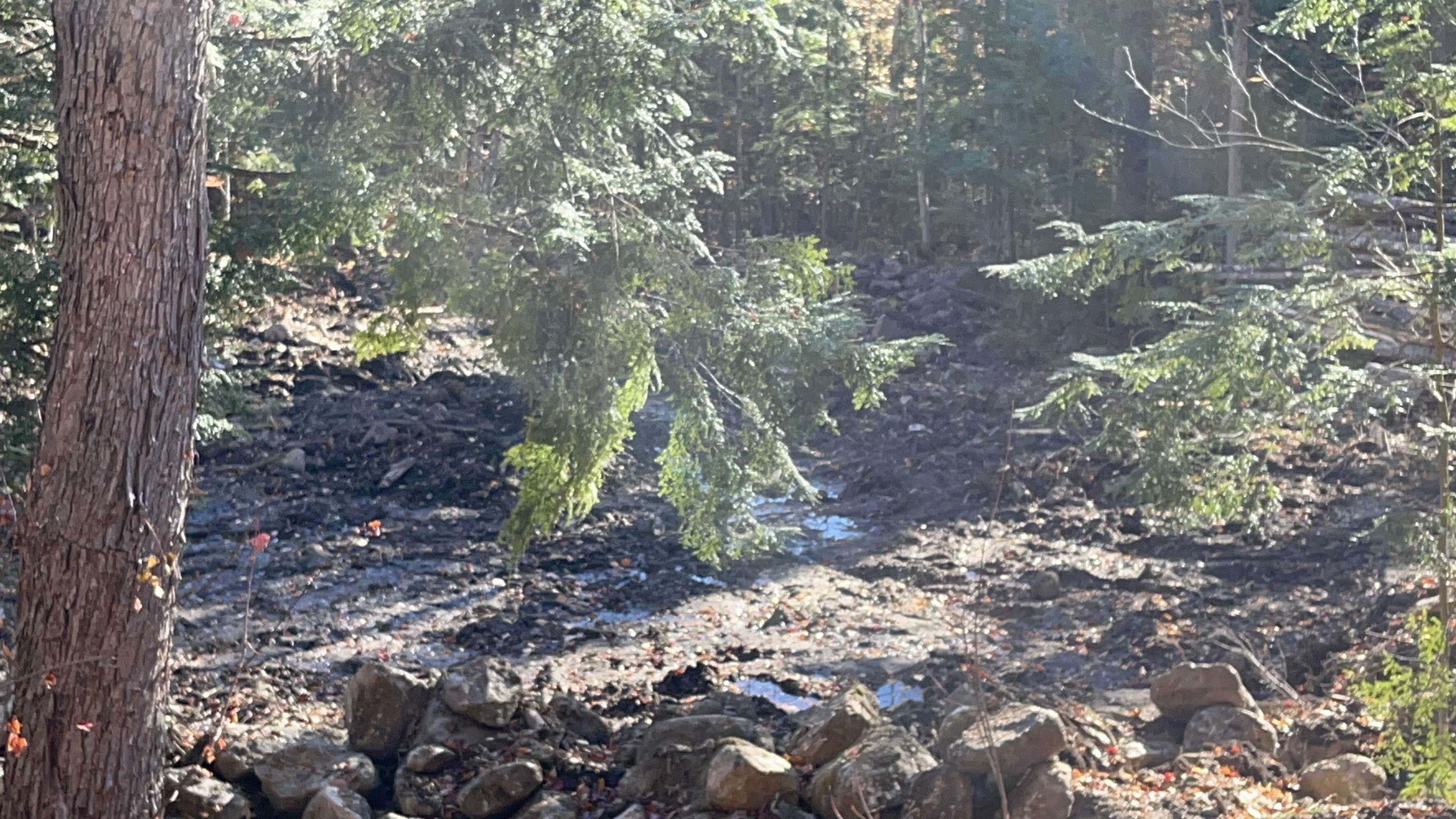 0 Dundee Road, Unit 102 Intervale, NH 03845 - Photo 5 of 7