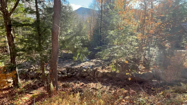 $159,000 | 0 Dundee Road, Unit 102, Intervale, NH 03845