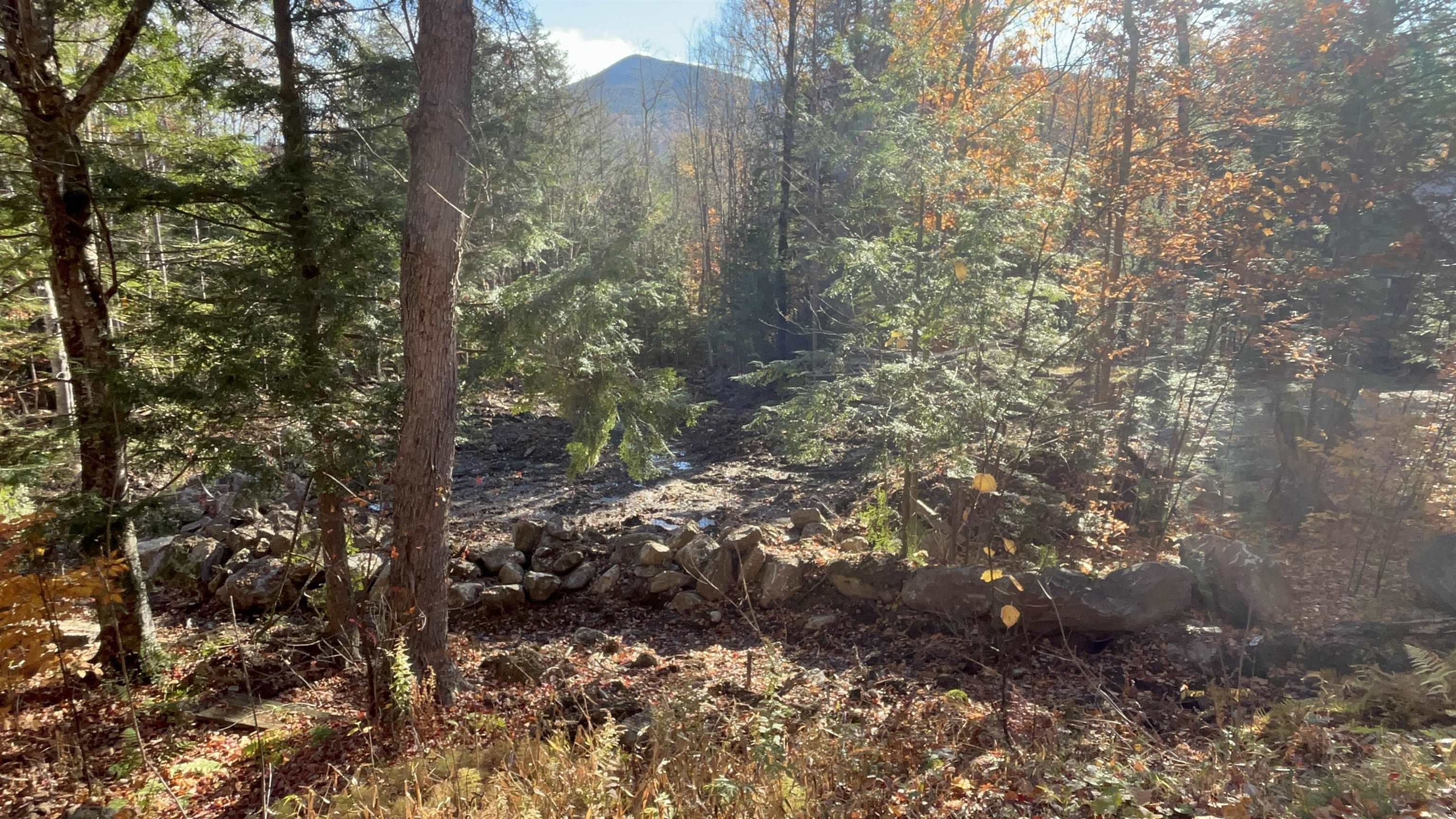 0 Dundee Road, Unit 102 Intervale, NH 03845 - Photo 6 of 7