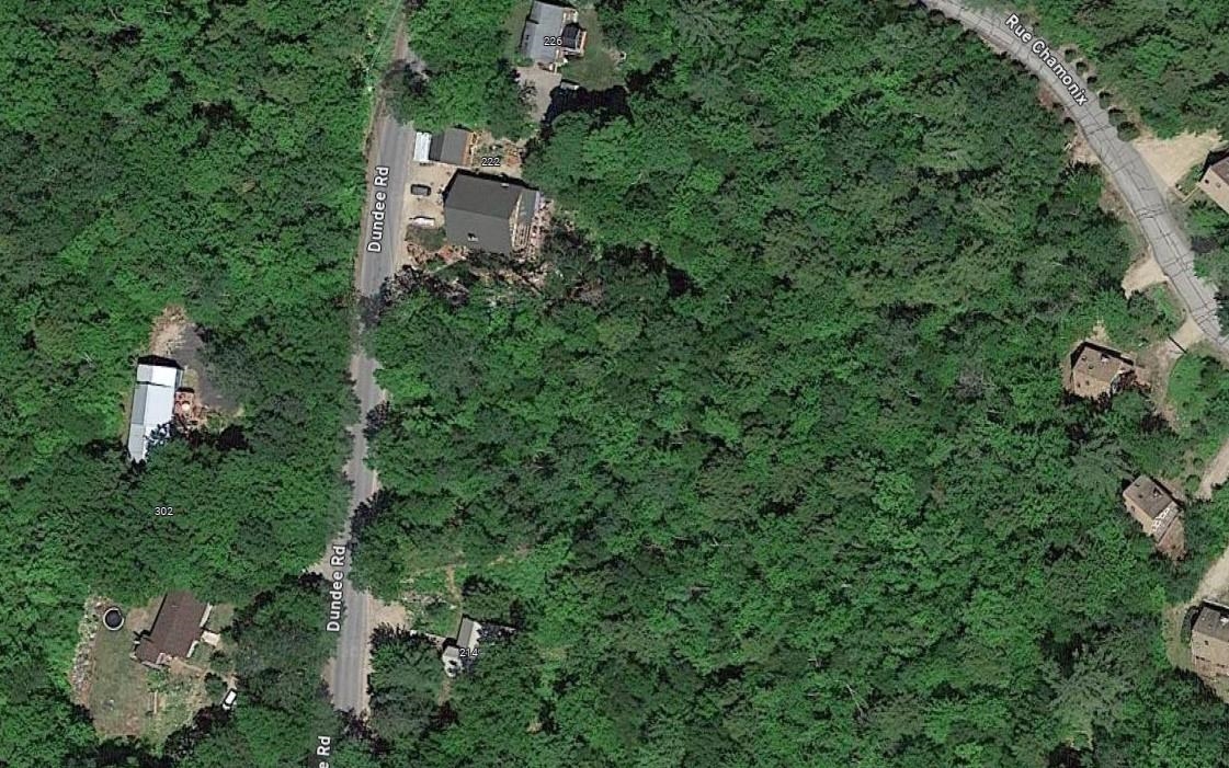 0 Dundee Road, Unit 102 Intervale, NH 03845 - Photo 7 of 7