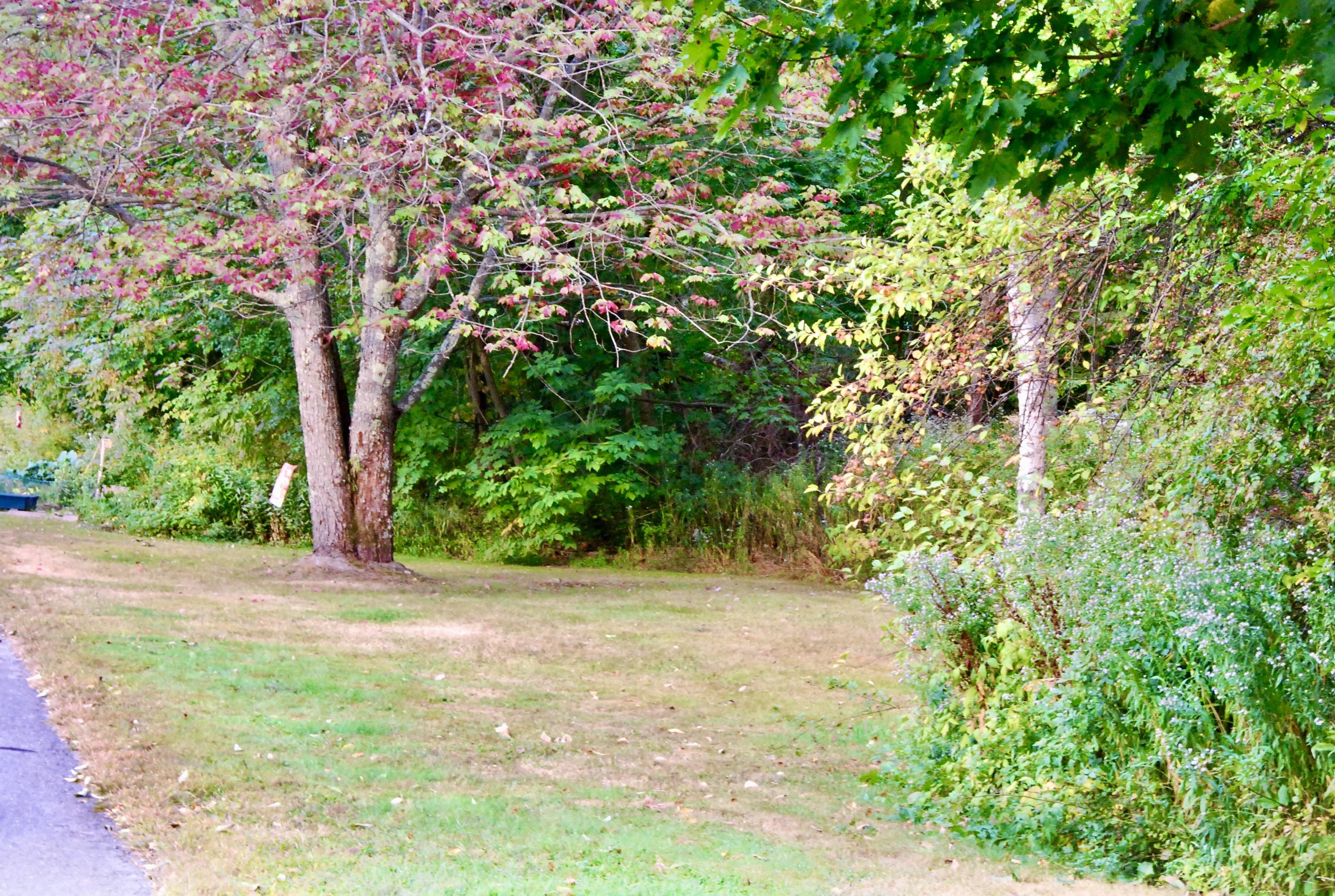 2 Villa Road, Unit 2 Westbrook, ME 04092 - Photo 7 of 51 DSC_0150