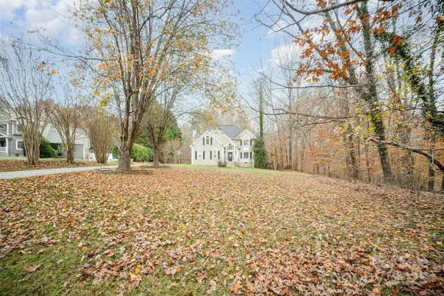 a view of road and trees