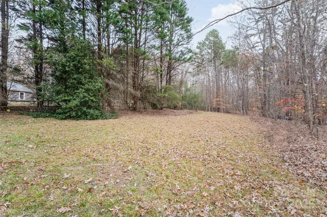 a view of backyard with large trees