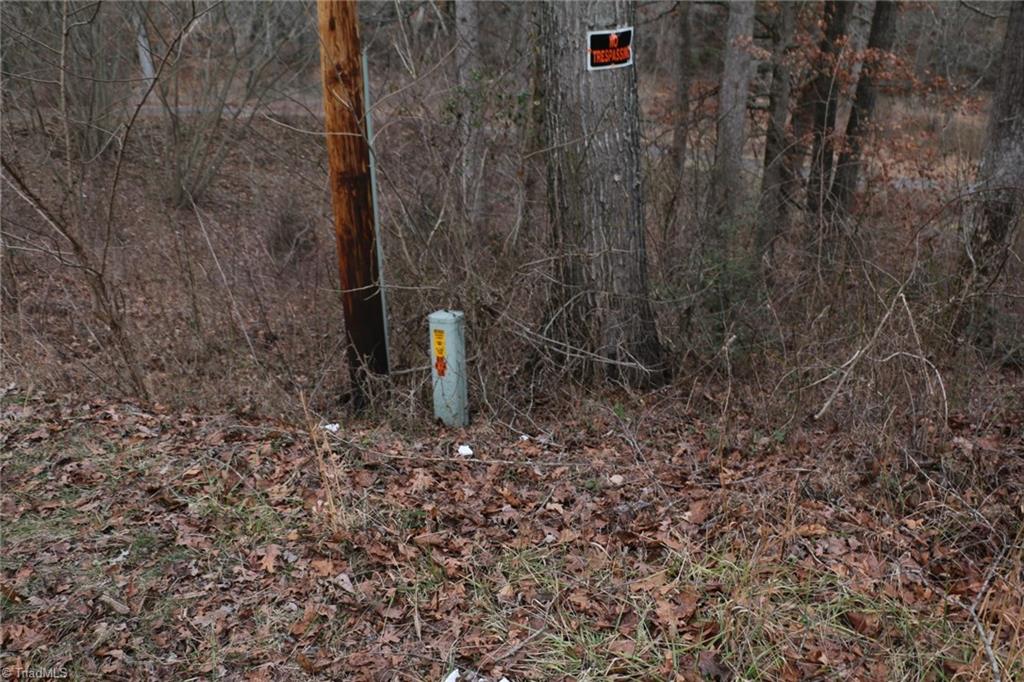 753 Pilot Power Dam Road Pilot Mountain, NC 27041 - Photo 22 of 25 Gallery Image 22