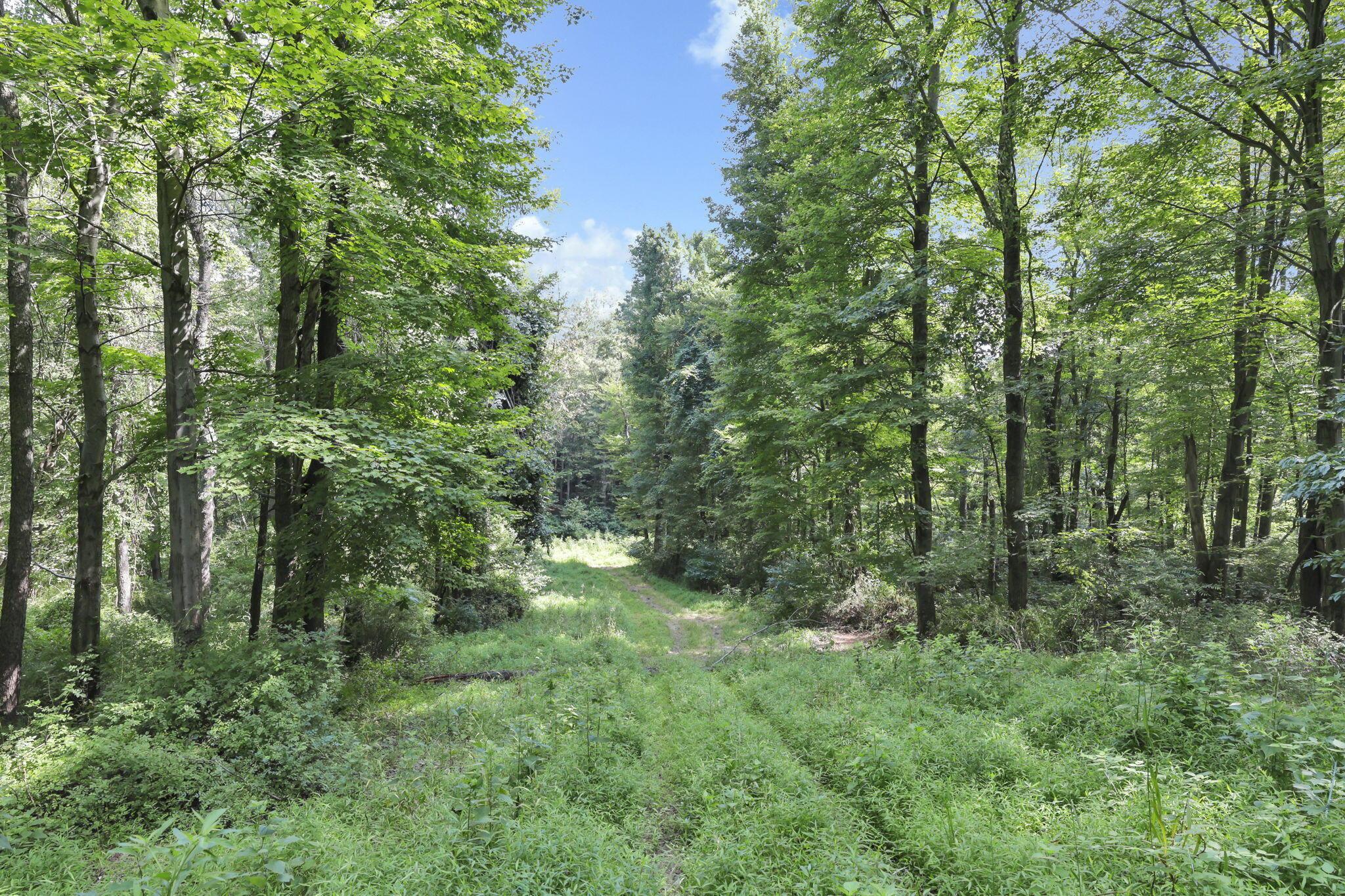 0 Cambridge Road Coshocton, OH 43812 - Photo 41 of 54 37-web-or-mls-011A1905