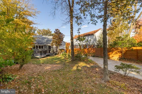 a view of a trees in front of a yard with large tree