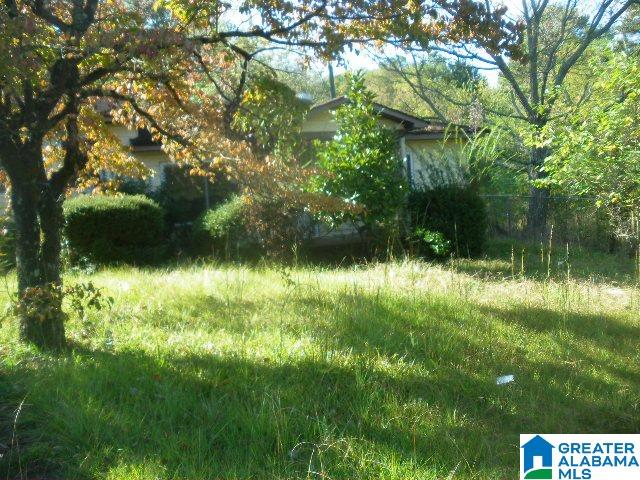 1734 5 Acre Road Dolomite, AL 35061 - Photo 3 of 9