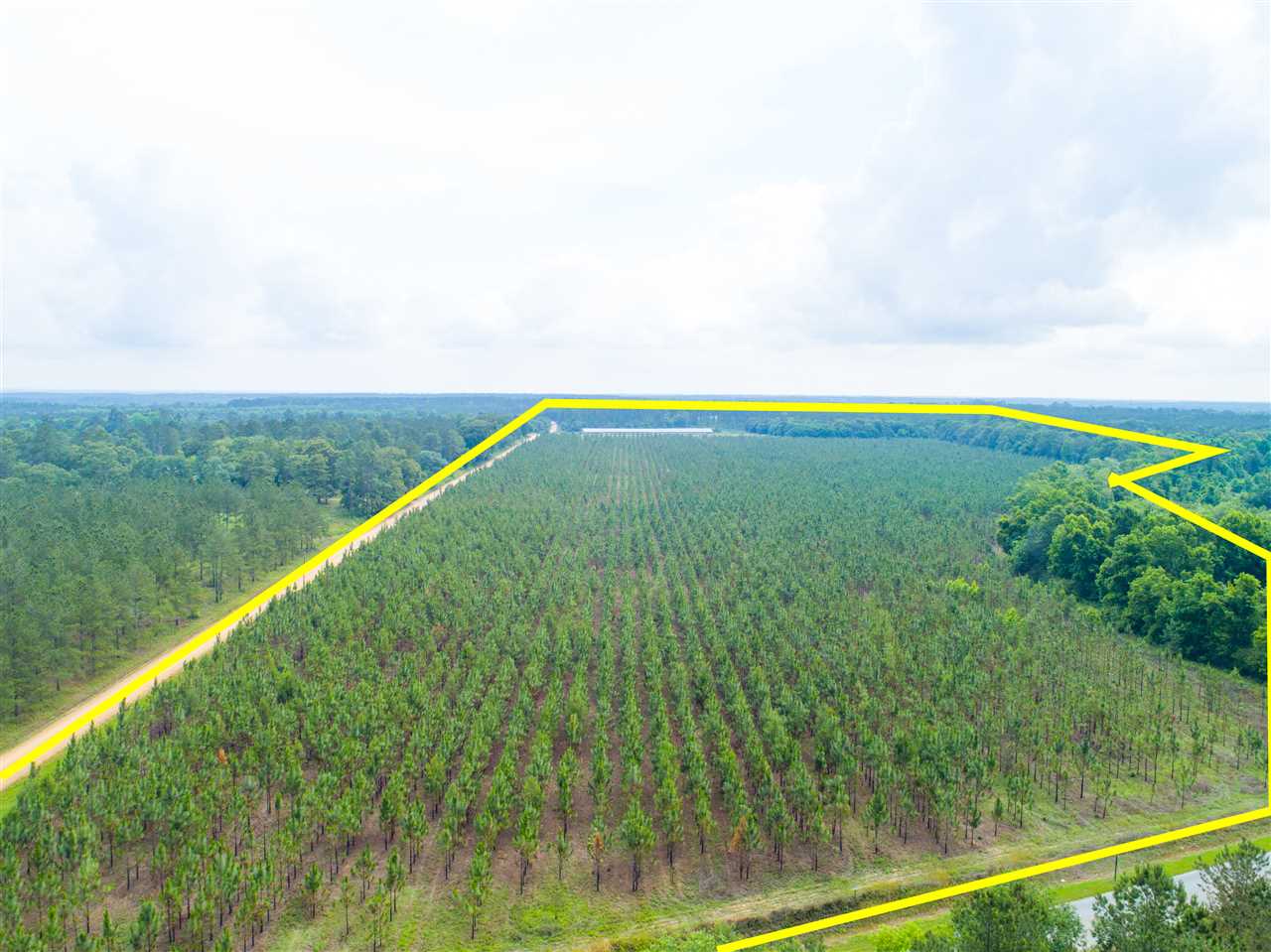0 Prevette Road Whigham, GA 39897 - Photo 4 of 17