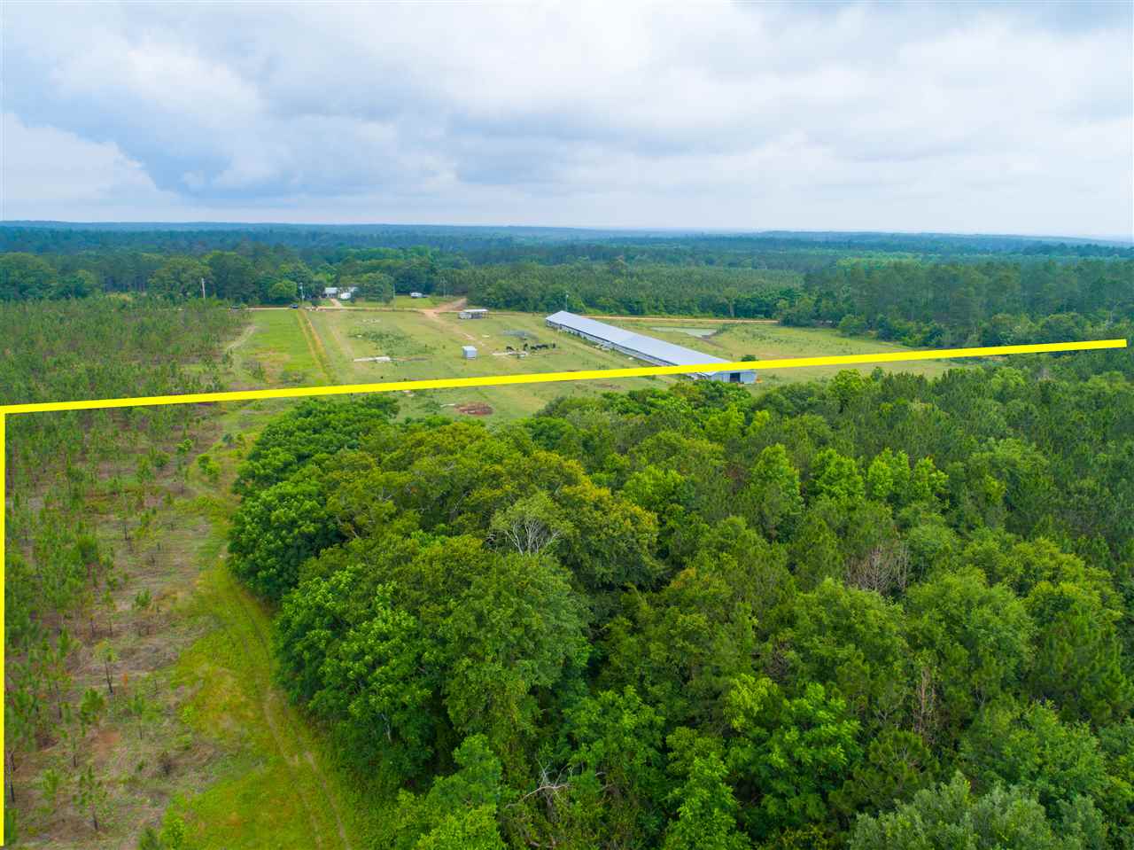 0 Prevette Road Whigham, GA 39897 - Photo 8 of 17