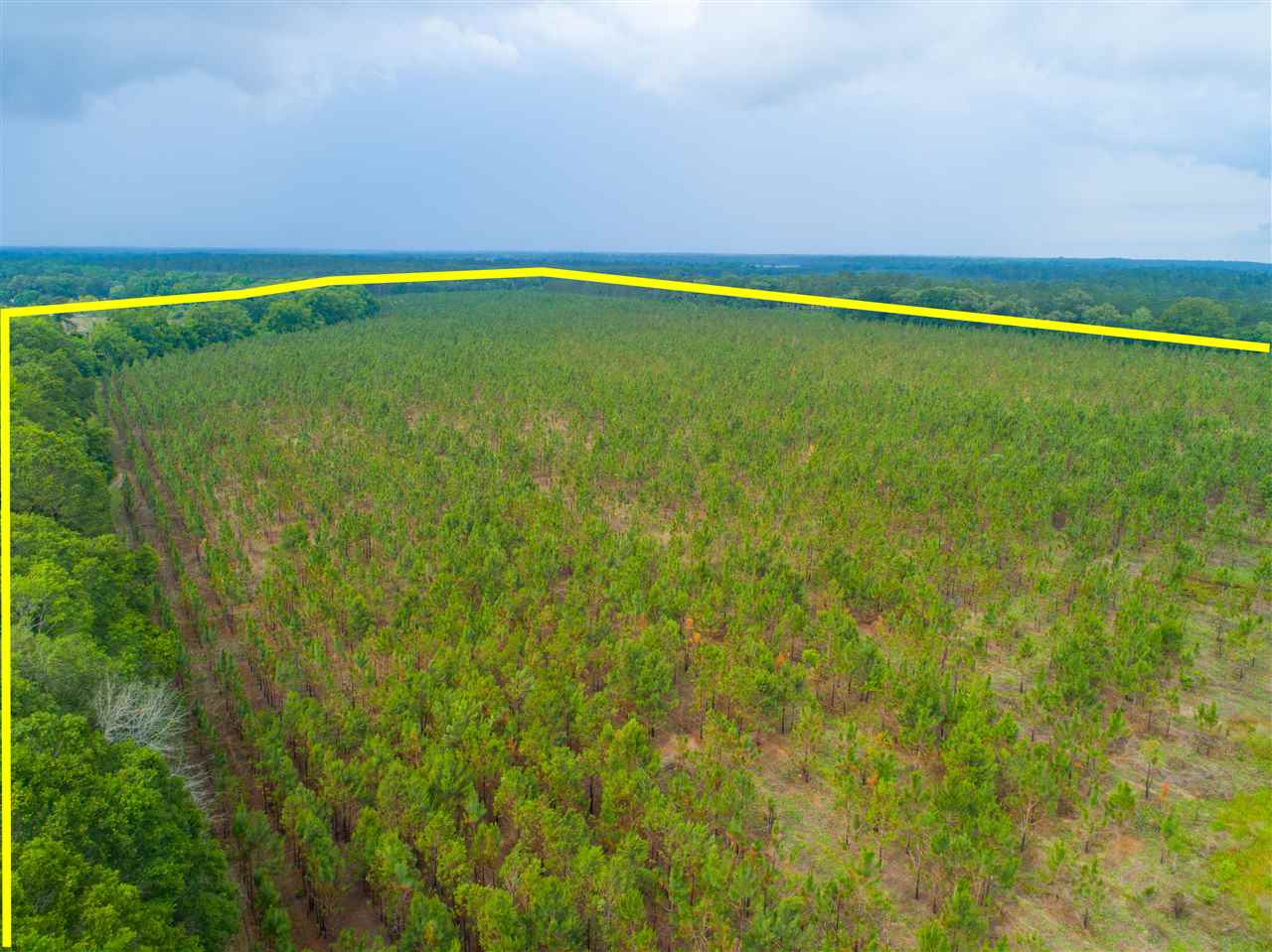 0 Prevette Road Whigham, GA 39897 - Photo 10 of 17