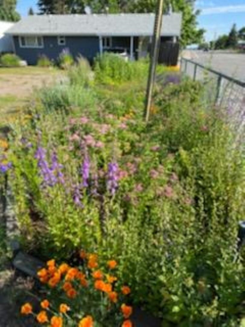 1504 South University Road Spokane Valley, WA 99206 - Photo 35 of 35