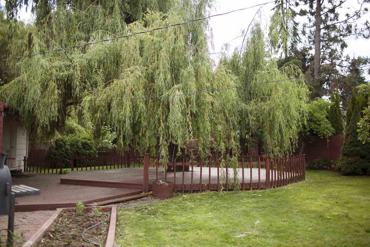 1608 4th Street Cheney, WA 99004 - Photo 17 of 20 Gallery Image 17