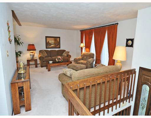 Living Room. Charming neutral walls amd carpeting, three large windows