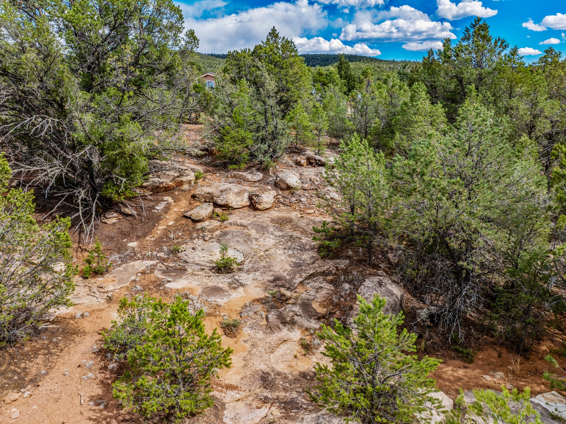 2.38-acres Old Colonias Road Pecos, NM 87552 - Photo 9 of 25