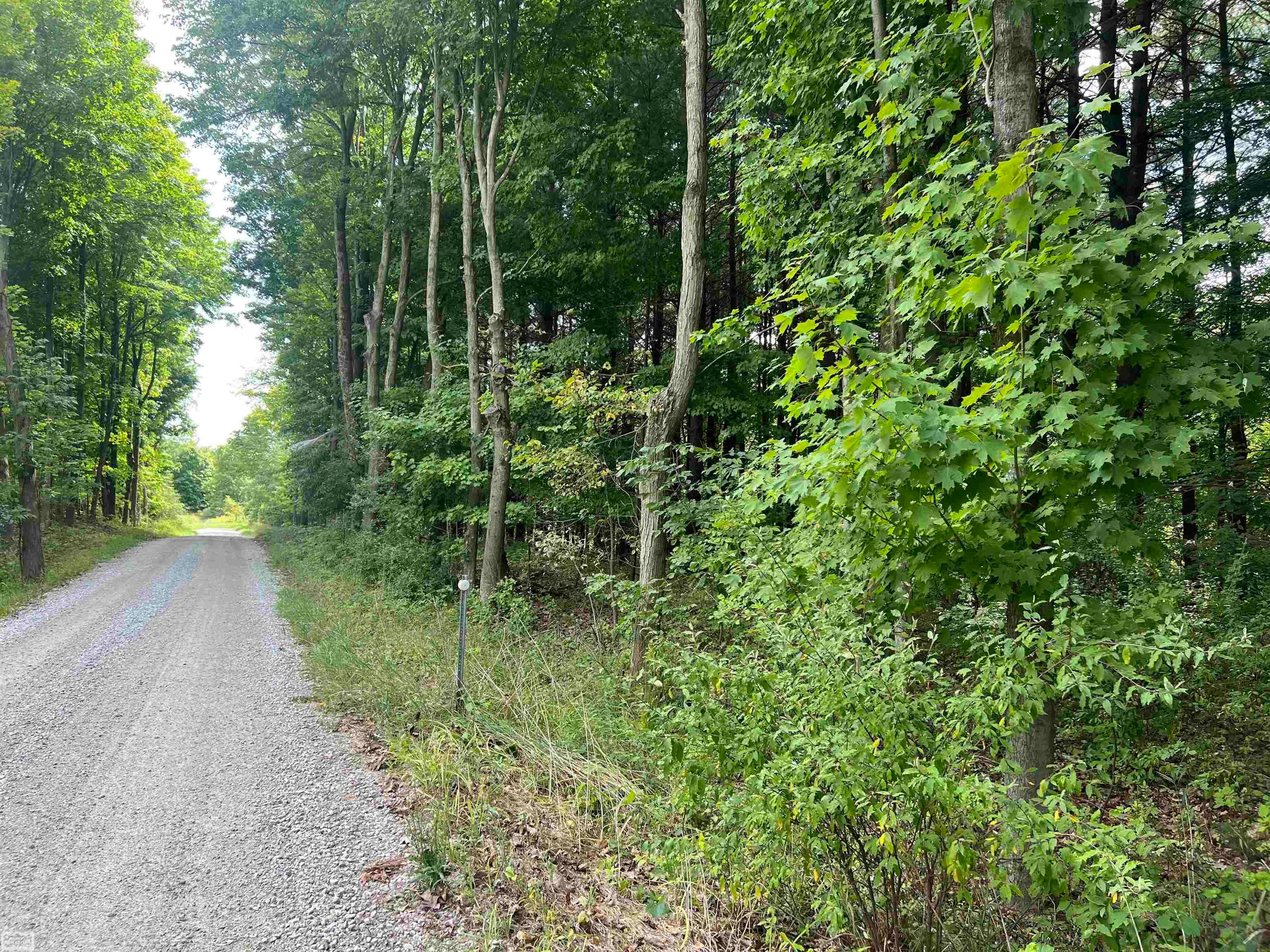 0 Burton Road Capac, MI 48014 - Photo 1 of 9 Gallery Image 1