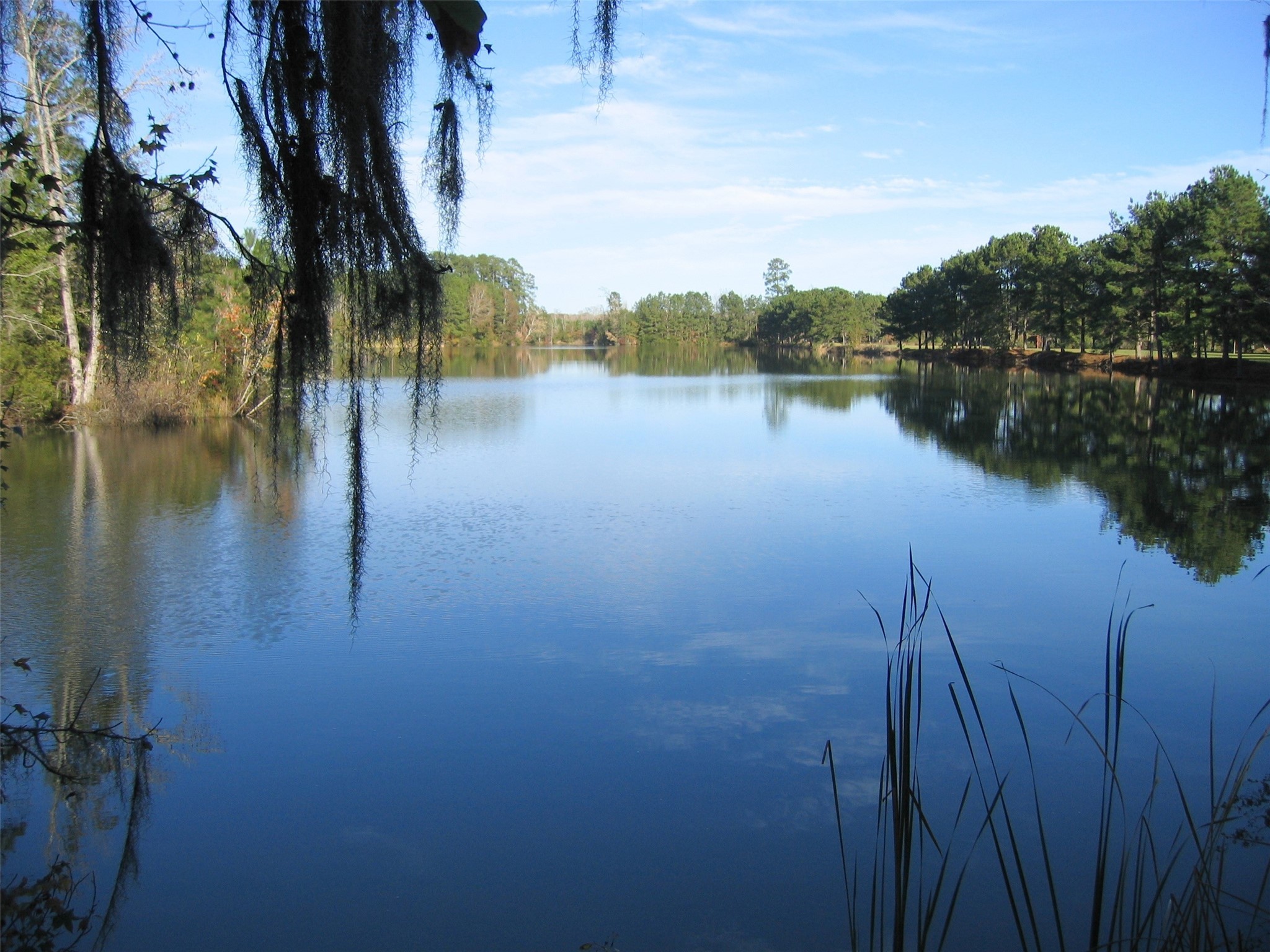 13 Robin Hood Cleveland, TX 77327 - Photo 19 of 24 a view of lake