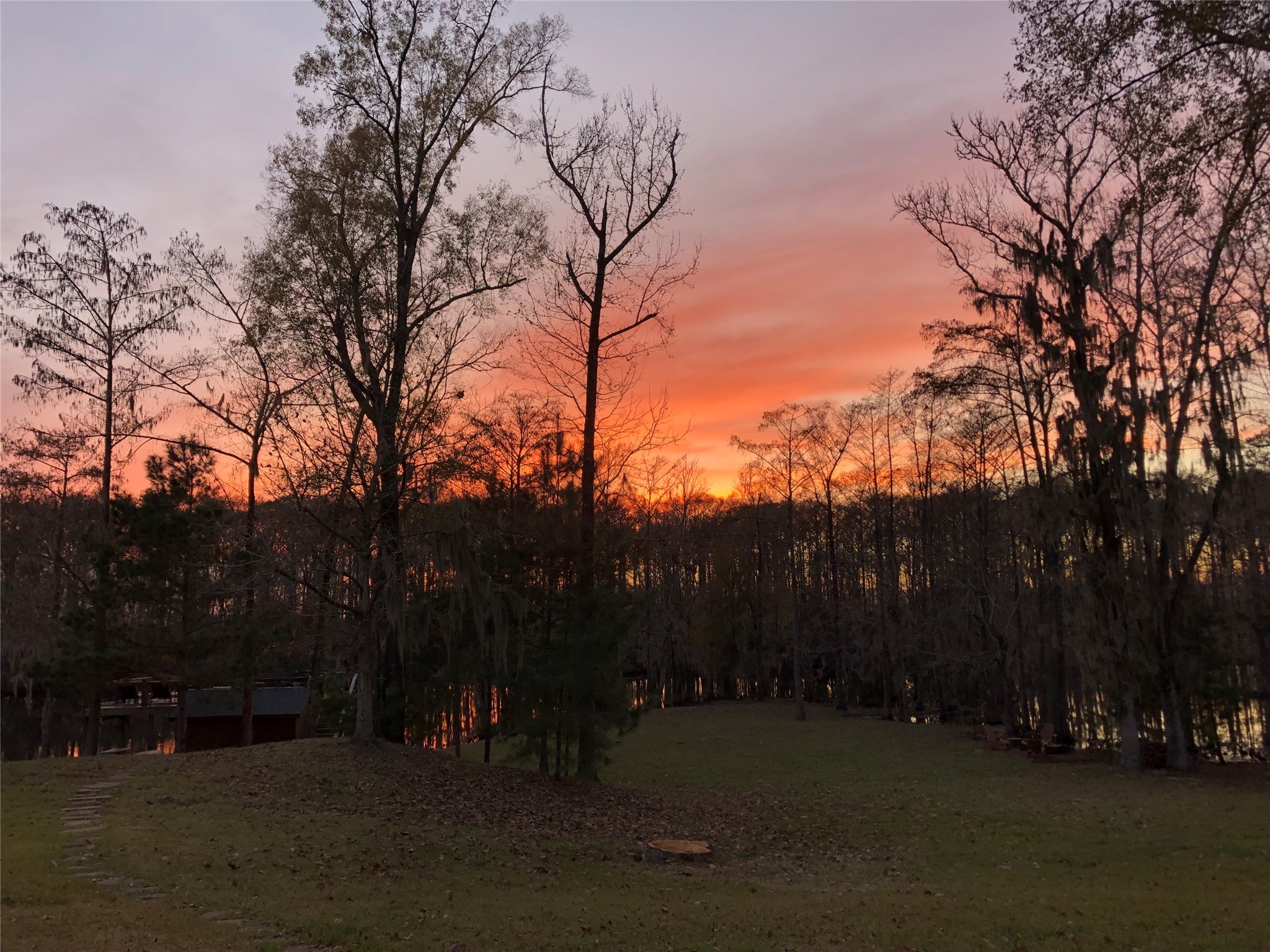 13 Robin Hood Cleveland, TX 77327 - Photo 20 of 24 a view of outdoor space with trees