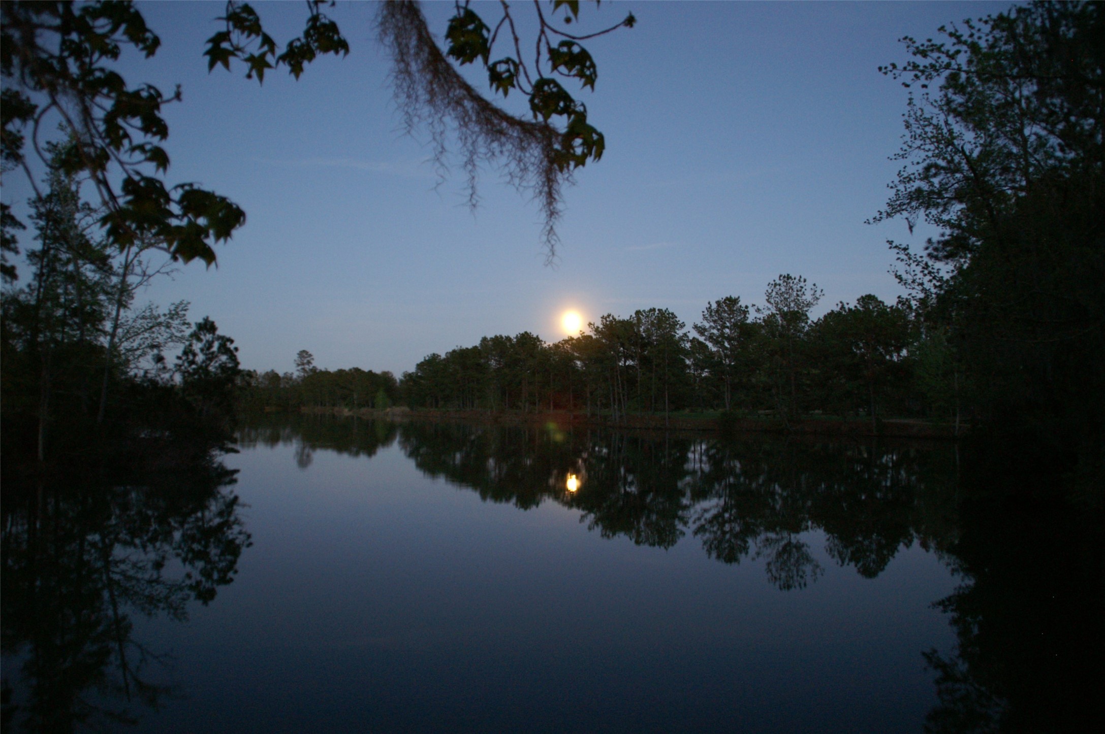 13 Robin Hood Cleveland, TX 77327 - Photo 24 of 24 a view of a lake from a lake