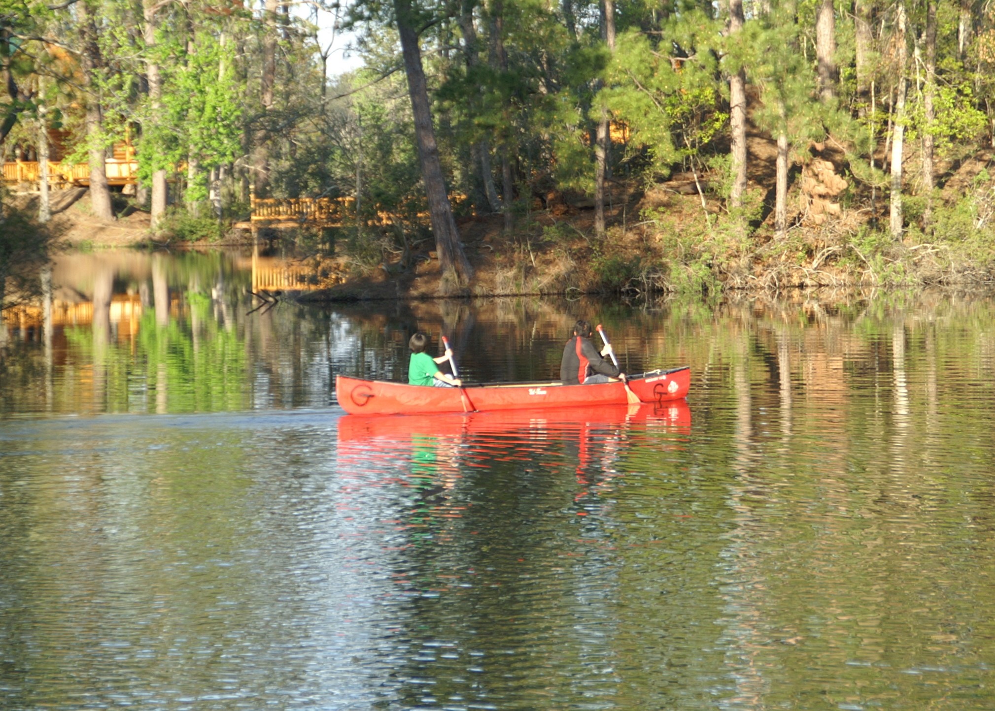 13 Robin Hood Cleveland, TX 77327 - Photo 8 of 24 a view of swimming pool with a yard