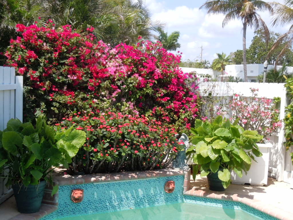 3901 Washington Road West Palm Beach, FL 33405 - Photo 37 of 38 Pool