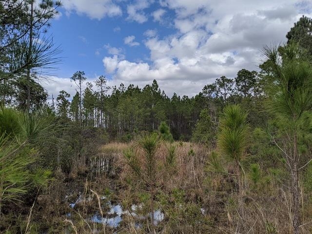 50 Circle Block Loop Perry, FL 32347 - Photo 3 of 13 Gallery Image 3