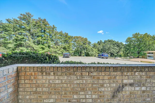 a view of a swimming pool with a plants