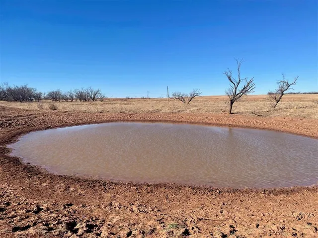 a view of tree in the middle of a yard