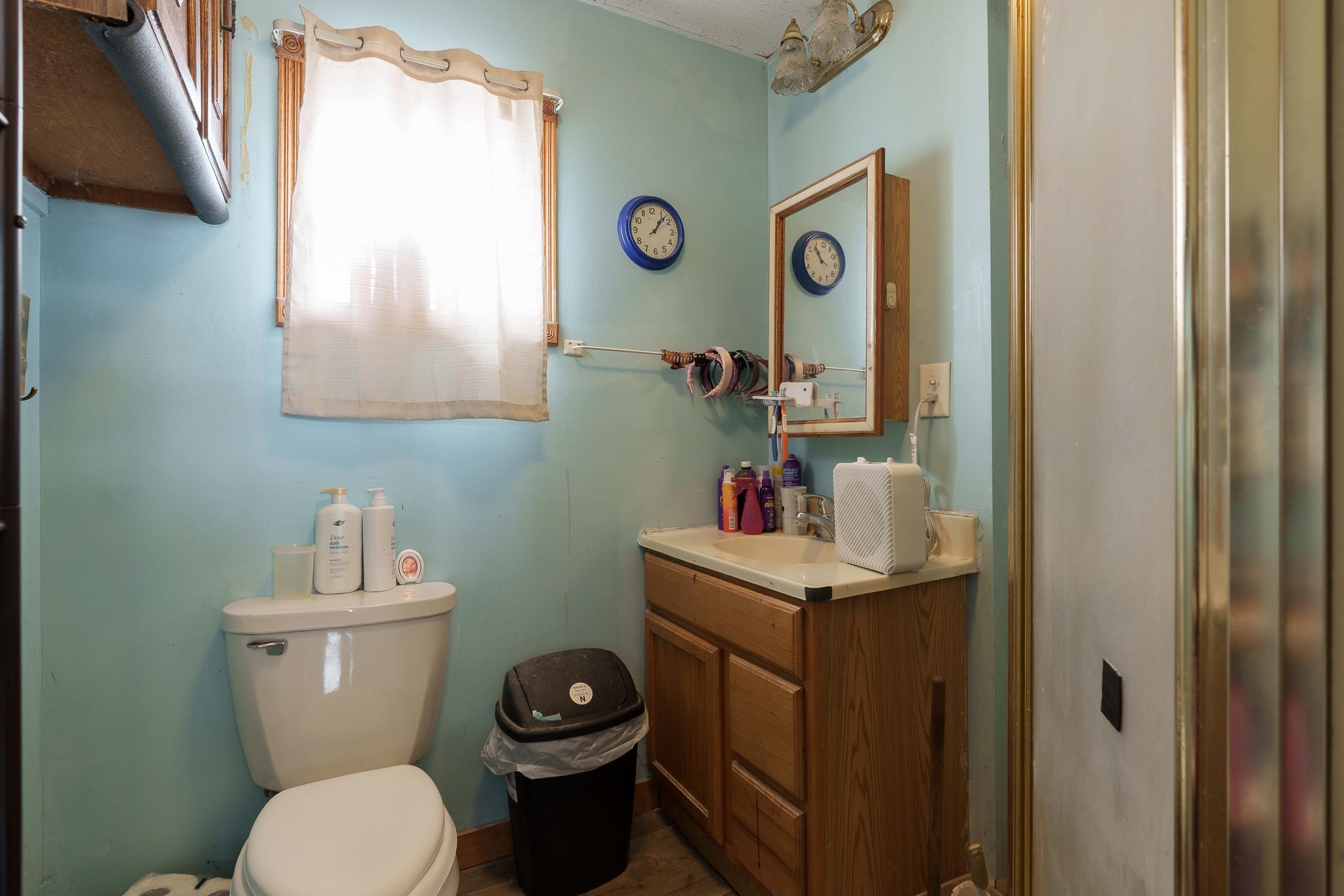 102 North Main Street Leaf River, IL 61047 - Photo 11 of 13 a bathroom with a toilet a sink and a mirror
