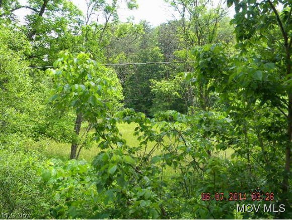 1779 Woodyard Creek Road Washington, WV 26181 - Photo 1 of 2