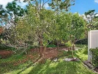 a backyard of a house with lots of green space