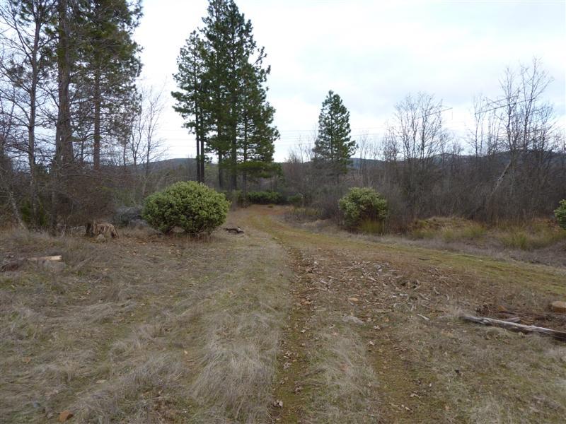 King Mill Road Round Mountain, CA 96084 - Photo 4 of 11 3