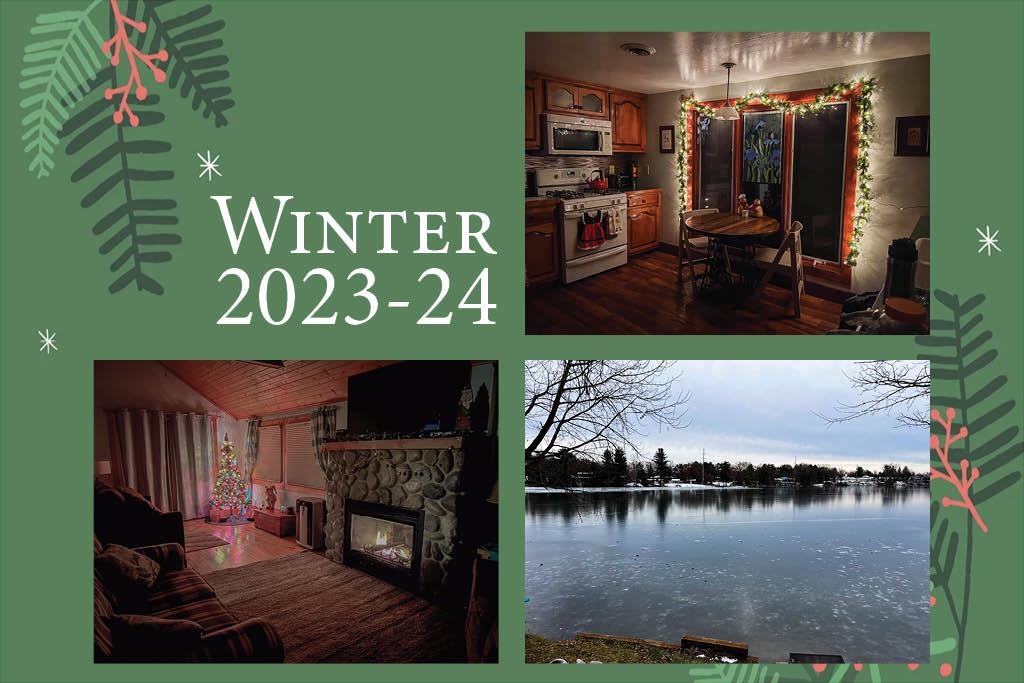 1176 Dakota Court Friendship, WI 53934 - Photo 50 of 60