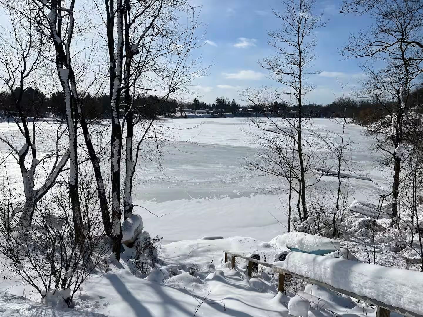 1176 Dakota Court Friendship, WI 53934 - Photo 51 of 60