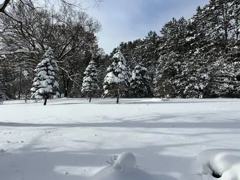 $350,000 | 1176 Dakota Court, Friendship, WI 53934