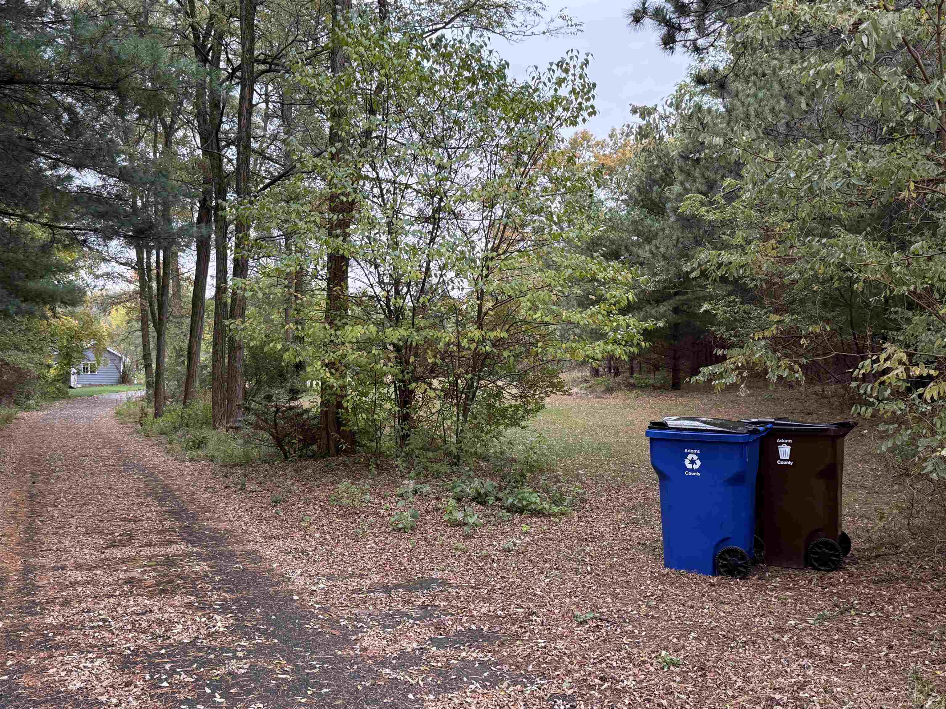 1176 Dakota Court Friendship, WI 53934 - Photo 59 of 60