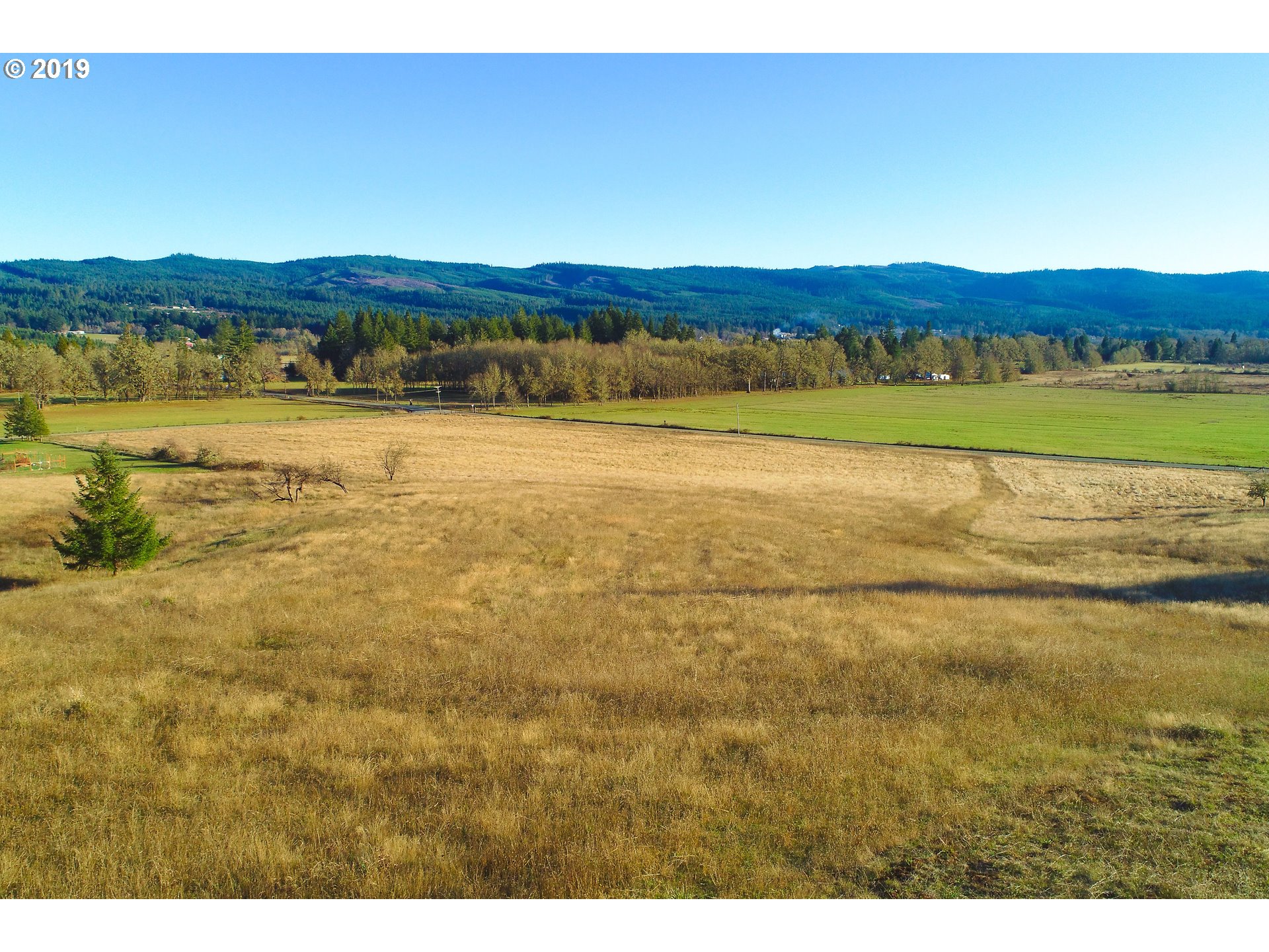 2960 Westside Road Camas Valley, OR 97416 - Photo 20 of 21