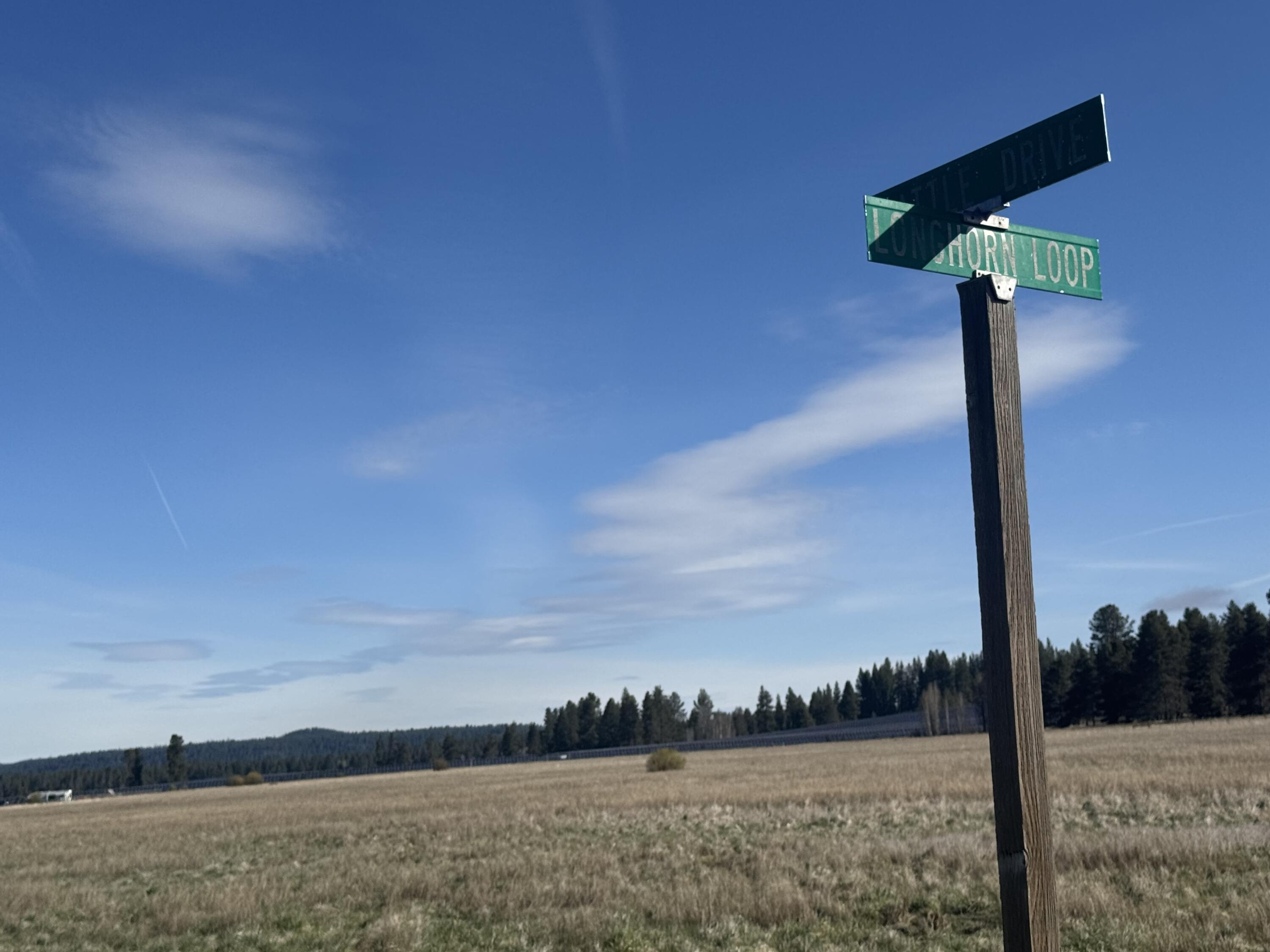 Cattle Drive, Unit 22 Chiloquin, OR 97624 - Photo 2 of 4 IMG_4482
