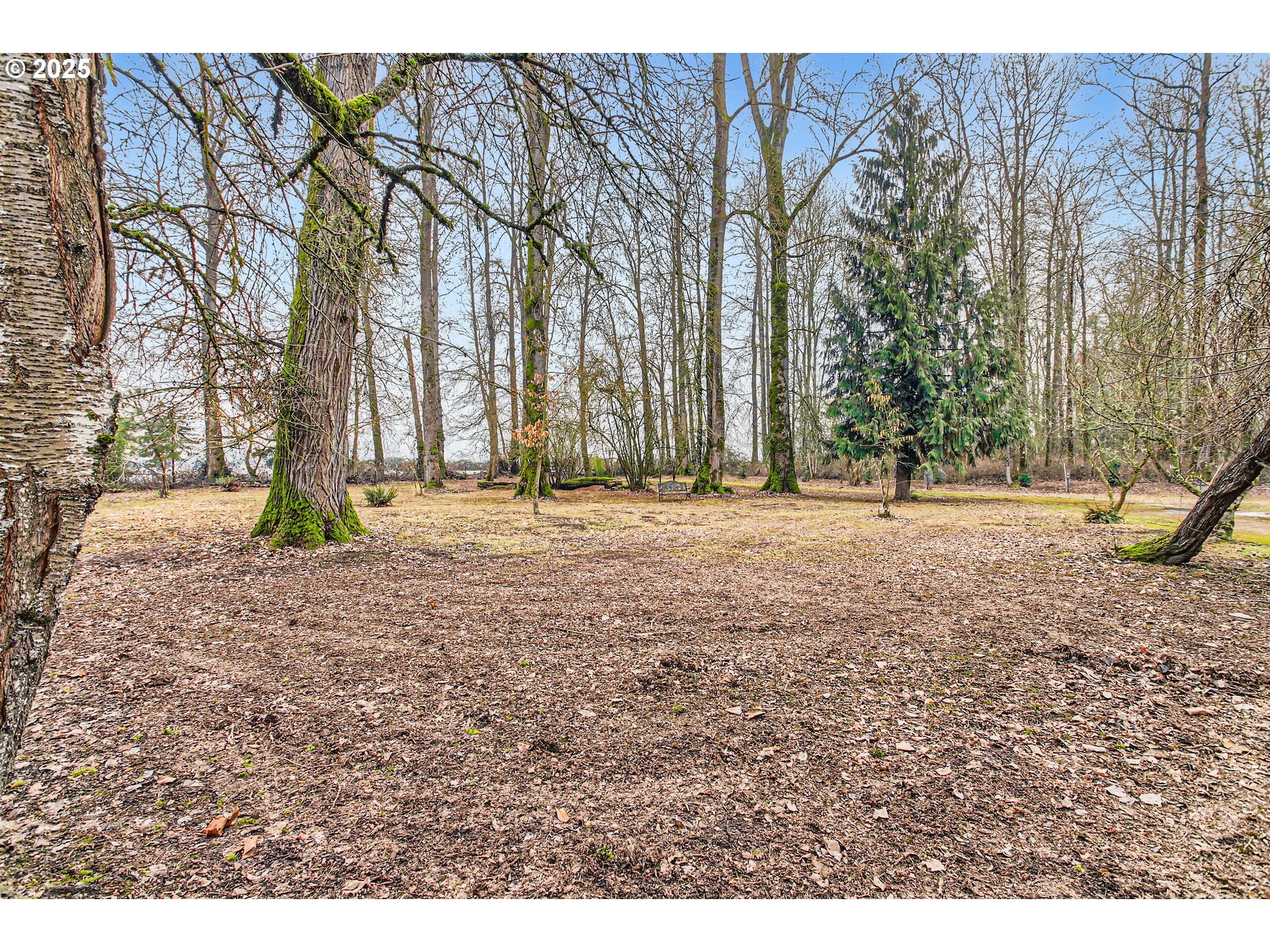 24347 Northwest Reeder Road Portland, OR 97231 - Photo 35 of 40 Front Yard