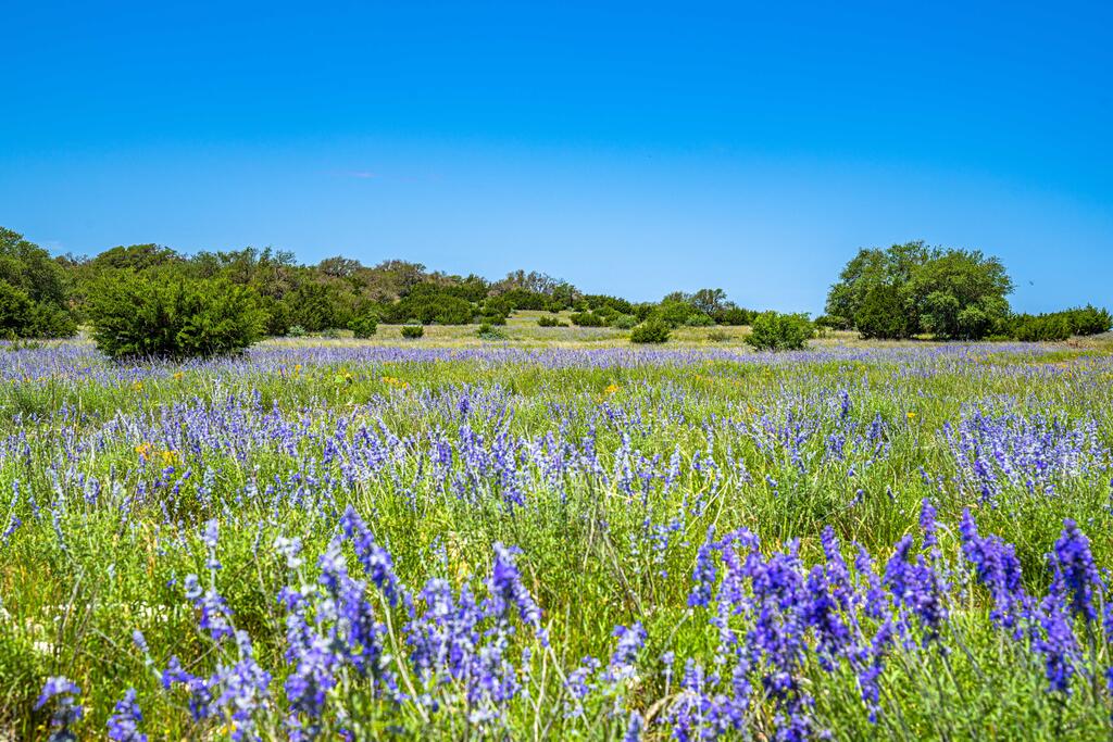 0 Morris Ranch Road Rocksprings, TX 78880 - Photo 21 of 40 Gallery Image 21